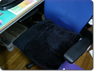 意外にぬくい…